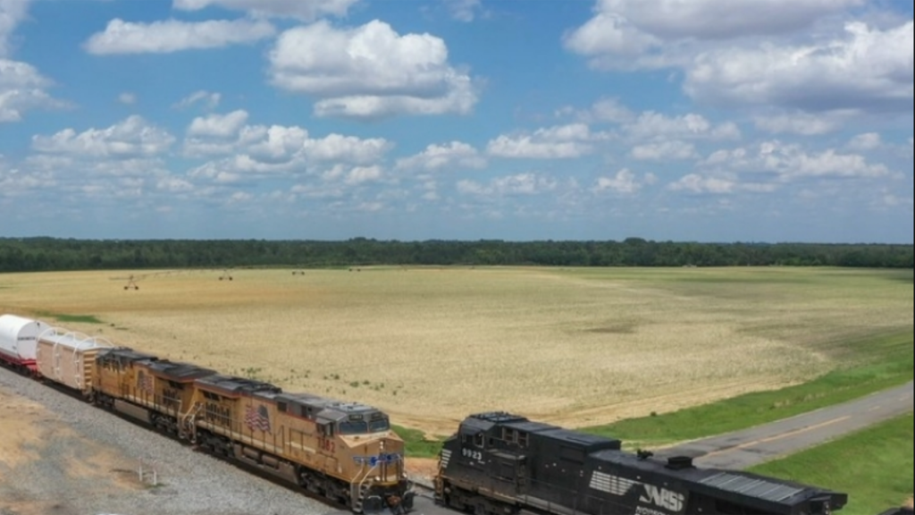 (Photograph Courtesy of NS)