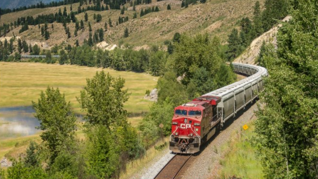 (Photograph Courtesy of CP via Twitter)