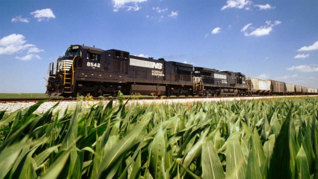 (Photograph Courtesy of NS)