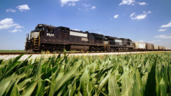 (Photograph Courtesy of NS)