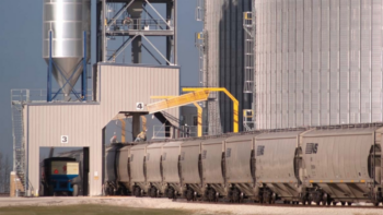 (Photograph Courtesy of NS)