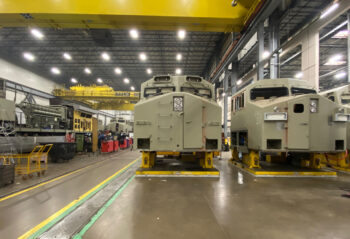 Photo by Carolina Worrell