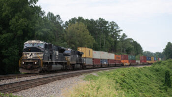 David C. Lester Photograph