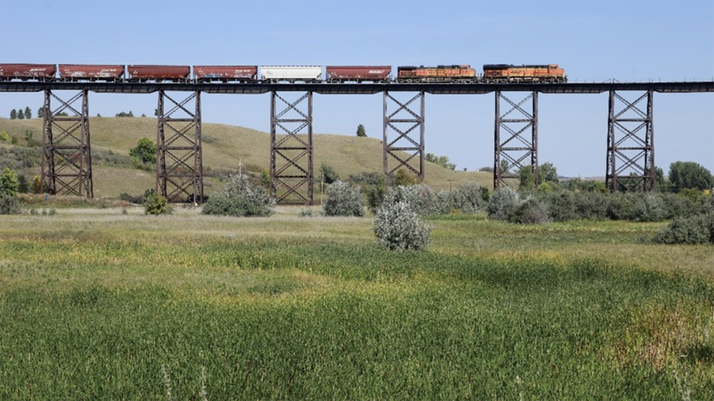 The first BNSF grain shuttle leaving Minnesota for the Pacific Northwest, September 2023. (Caption and Photograph Courtesy of BNSF)