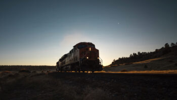 (Steve Halama, Unsplash)