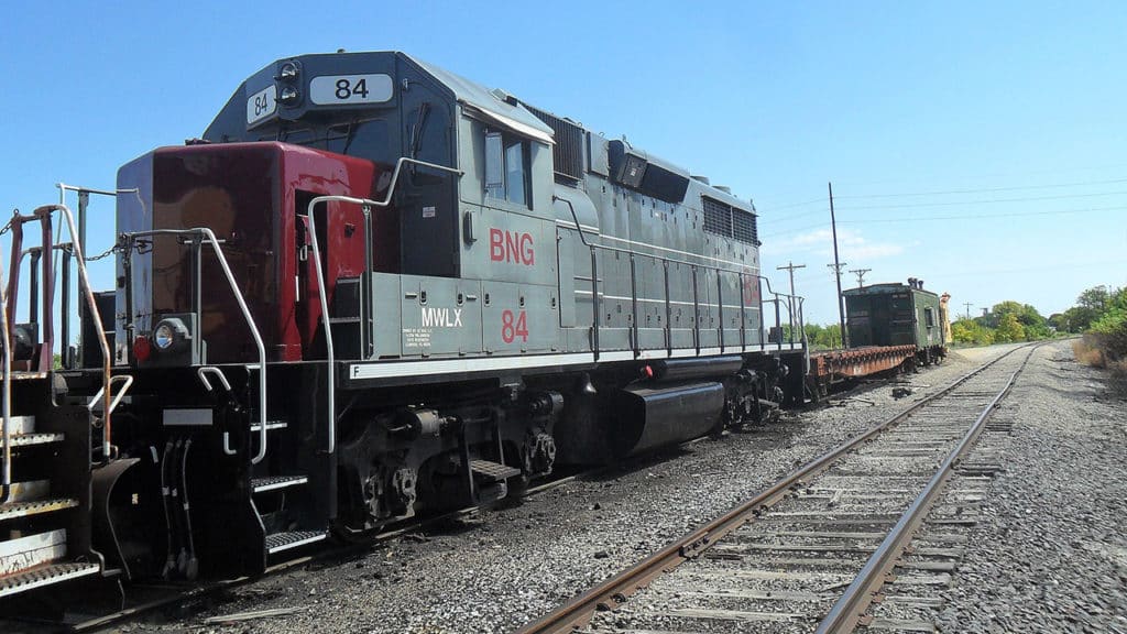 (Wikimedia Commons/Matthew Zisi)