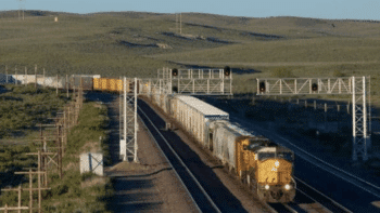 (David Gubler Photograph, Courtesy of IRJ)