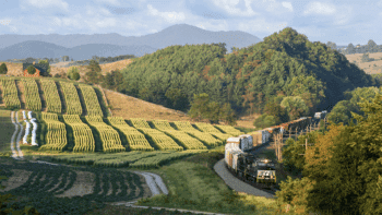 (Norfolk Southern Photograph)