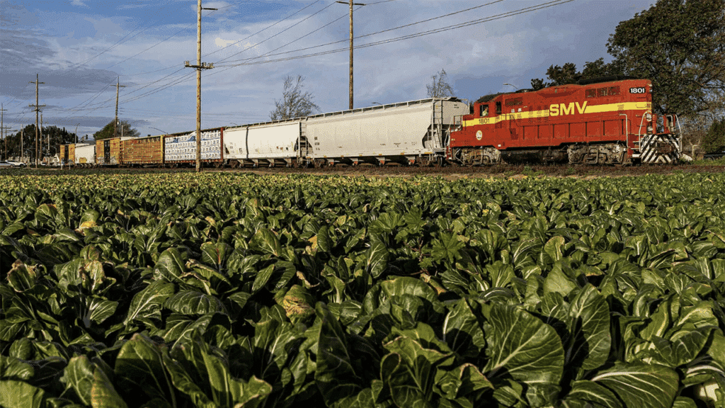 (Photograph Courtesy of OmniTrax)