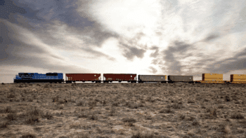 (Photograph Courtesy of NRLC)